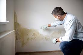 Mold Remediation for Vacation Homes in Toppers, OK